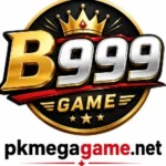 B999 Game