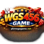 WGS456 Game