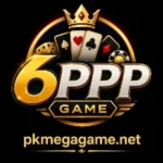 6PPP Game