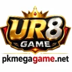UR8 Game