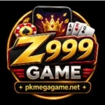 Z555 APP